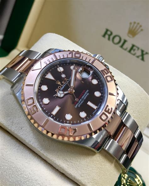 rolex yacht master 37 everose gold|rolex yacht master 40mm price.